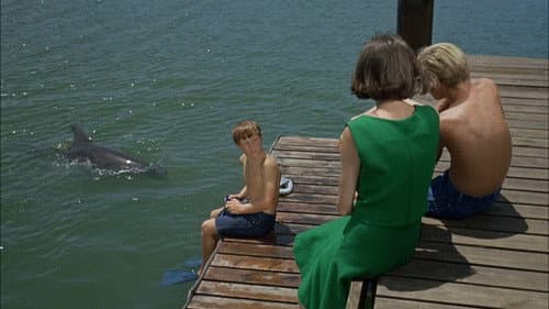 Lady and the Dolphin (1)