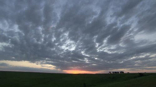 We Live with the Land