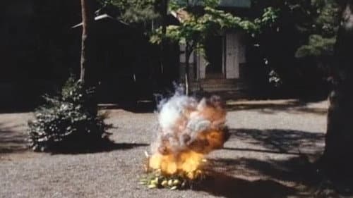 6 Targets!! The Flower Which Explodes