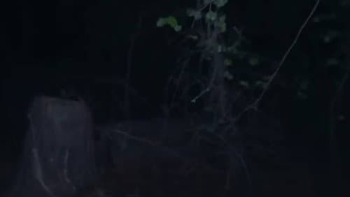Part 5