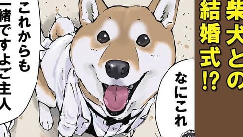 Teach Me, Haru-san / Vow of Servitude / Deer Antlers