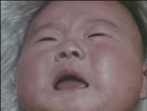 The Shining of a New Life that Calls for a Miracle