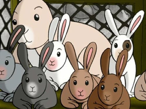 Curious George's Bunny Hunt