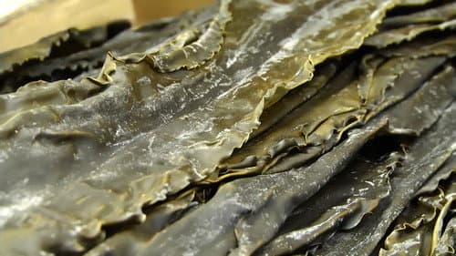 Kombu