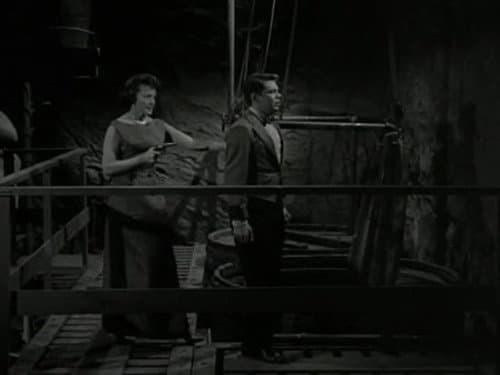 Death and the Joyful Woman