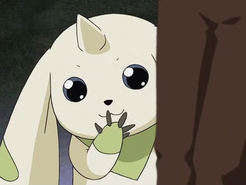 Digimon, Digimon Everywhere