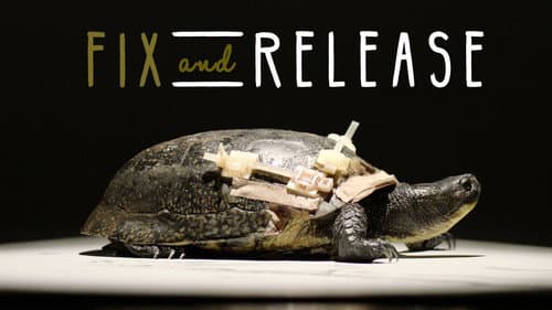 Fix & Release