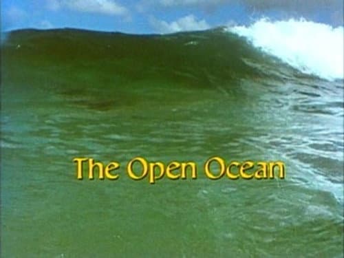The Open Ocean