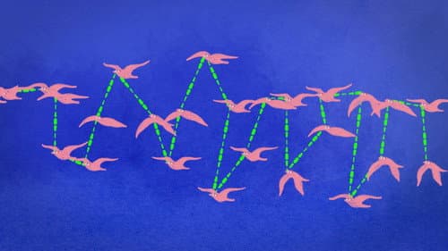 Are we more intelligent in swarms?