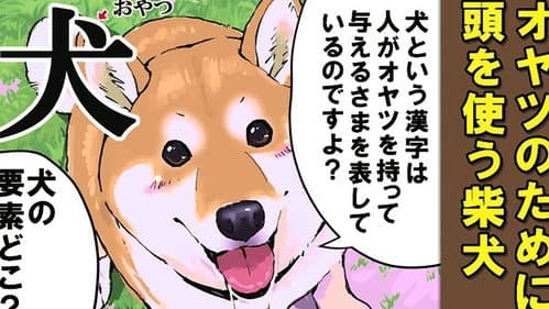 Special Lecture 1 / Special Lecture 2 / Dogs and Kanji 1 / Dogs and Kanji 2