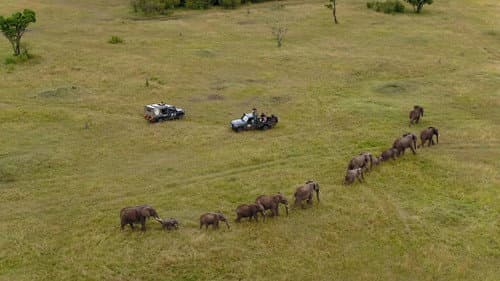 Africa