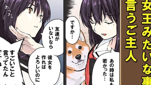The Misunderstood Ones (Master`s Story) / The Misunderstood Ones (Shiba Inu Story)
