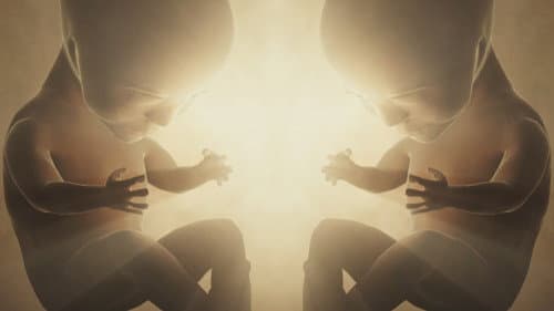 Human Genesis