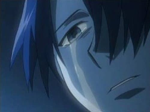 Don`t Cry, For the Snow will Surely Melt