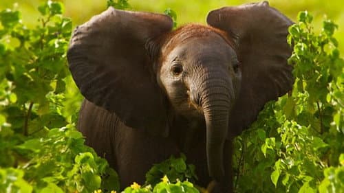 Kenya and Minnesota, USA Update