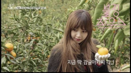 (BLACKPINK HOUSE)’ EP.11-1