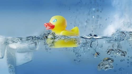 How Does Water Create Life?