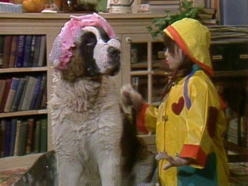 Dog Dough Afternoon
