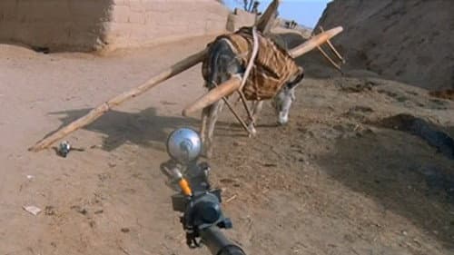 Donkey