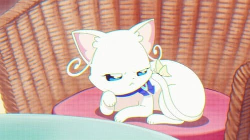Nyanfluencer Mayu