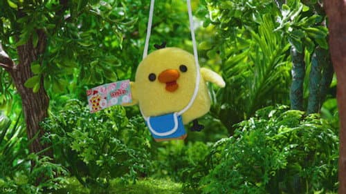 Eiji and the jungle tour