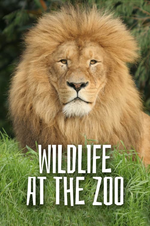 Wild Life At The Zoo