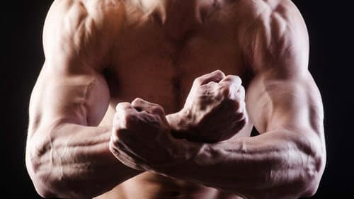Do we need the alpha male?