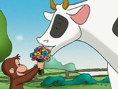 Keep Out Cows