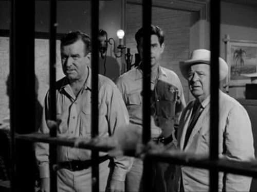 The Star Juror
