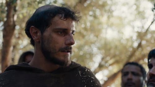Francis of Assisi