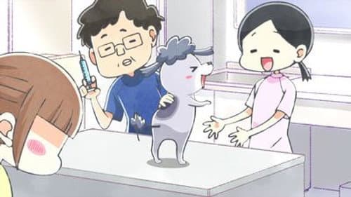 The Vet
