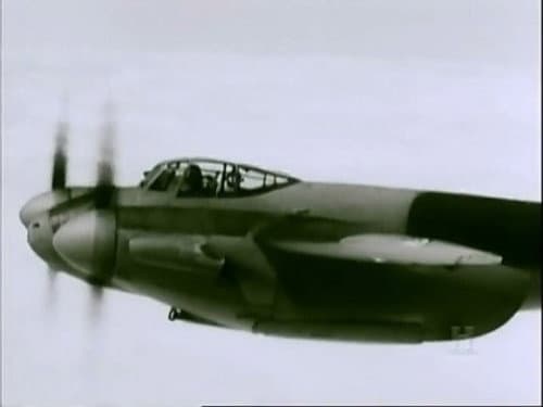 Mosquito Attack