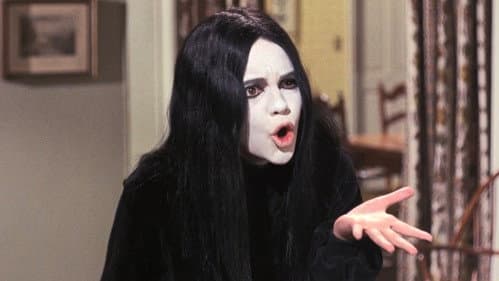 Gidget's Career