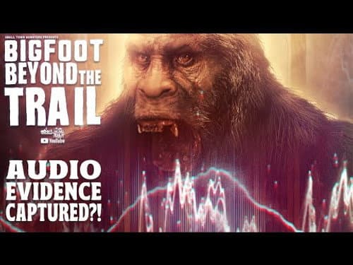 Bigfoot Audio Evidence Captured?! (Audio Analysis Video)