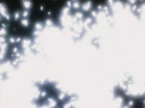 The fog of revenge