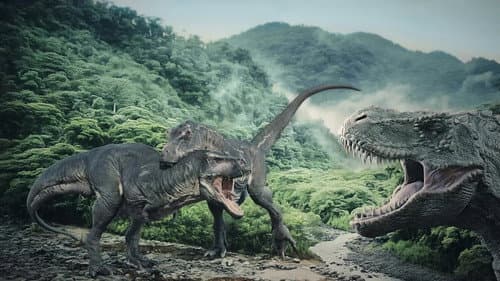 The Predation