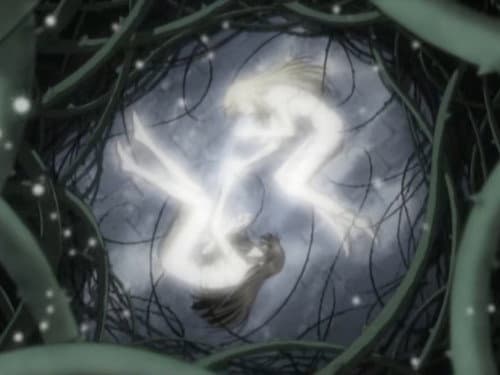 The Forest of Briars