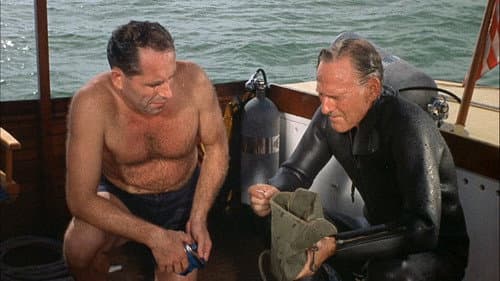 Flipper's Treasure