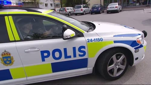 Del 2 av 12