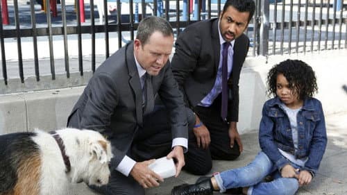 Man's Best Friend