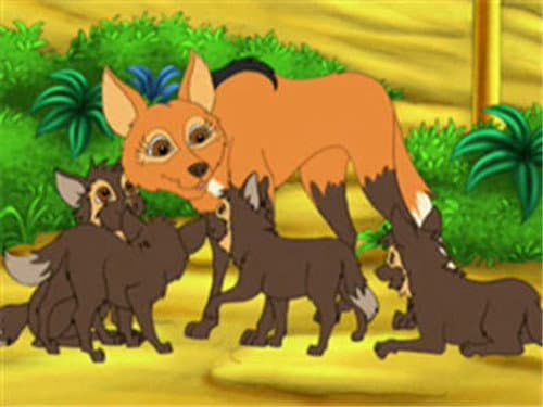 Diego's Wolf Pup Rescue