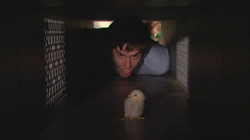 iHatch Chicks
