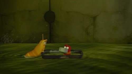 Flood (1)