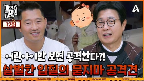 Episode 12