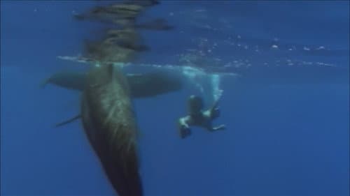 Survival at Sea and Beyond