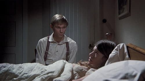 The Love Story