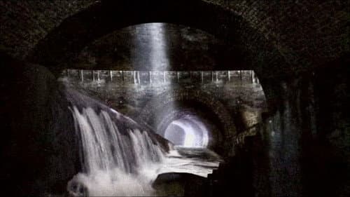 The Sewer King
