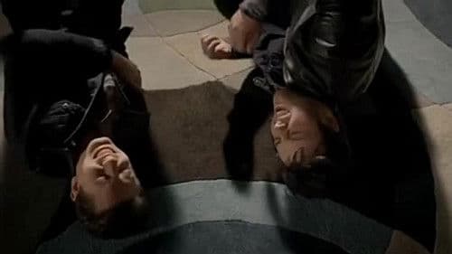 Aha Shake Heartbreak