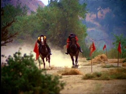 The Horse Race