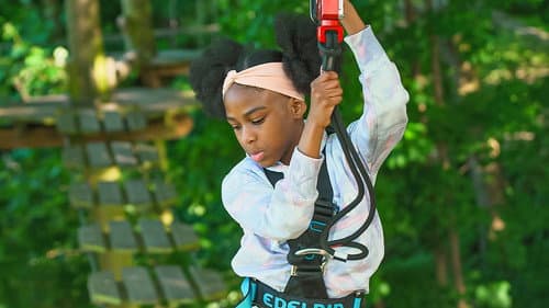 Face Your Fears